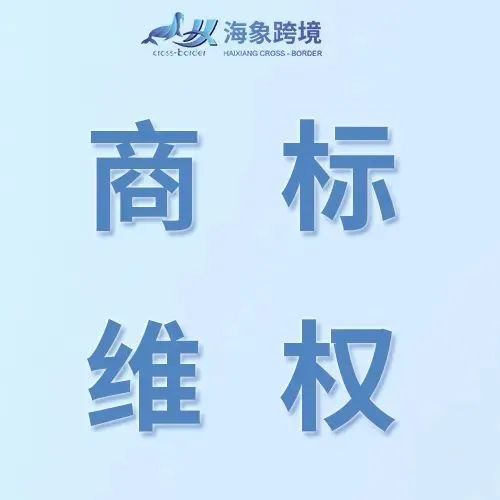 FOREARM FORKLIFT 前臂叉车起重带，案件号：22-cv-3443