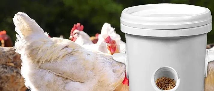 CHICKEN FEEDER 正在进行版权维权,卖家注意及时下架!