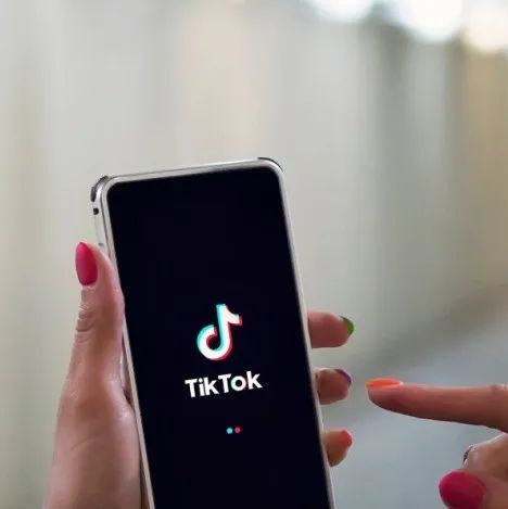 「TikTok」英国小店将上线宠物用品类目