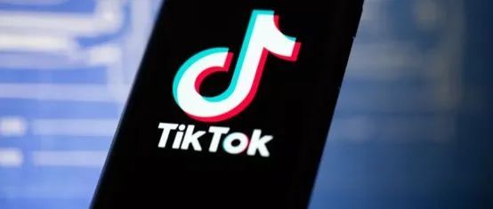 萌宠市场如火如荼，TikTok卖家该如何玩好“它经济”？