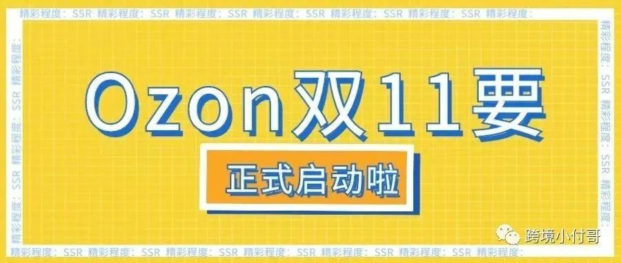 OZON也有双11?卖家们该怎么过! OZON也有双11?卖家们该怎么过!
