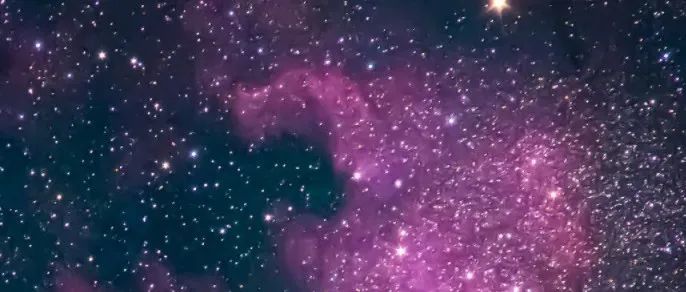 卖家们，快来看看！最新亚马逊系统收录规则