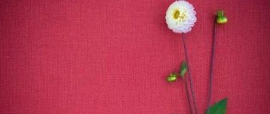 必须收藏丨2023跨境电商营销日历，亚马逊新品推广5大常规步骤！