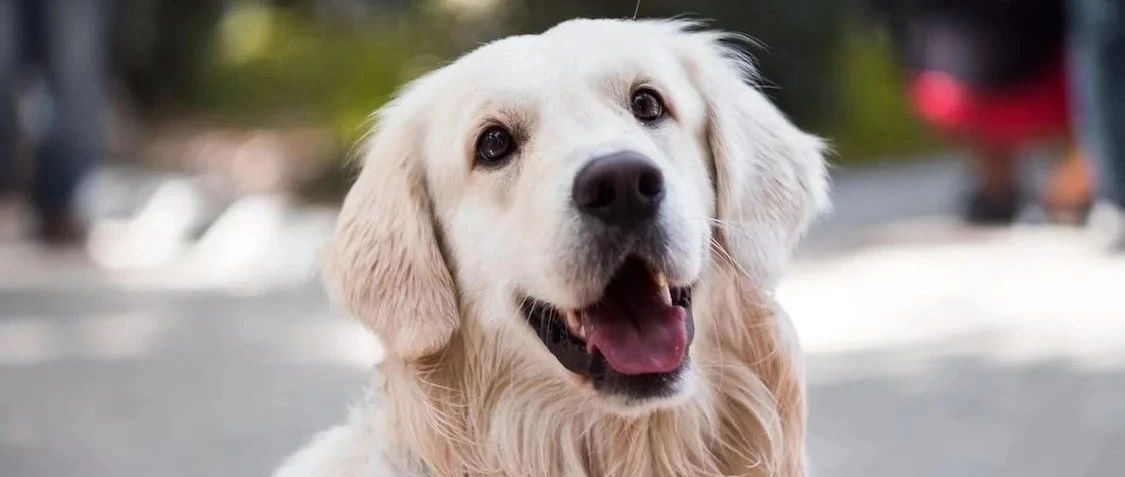 涨速喜人！热评120000+，当红品类最好卖的产品是它..