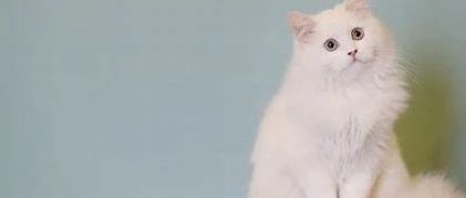 亚马逊测款时一定要留意这三个因素！