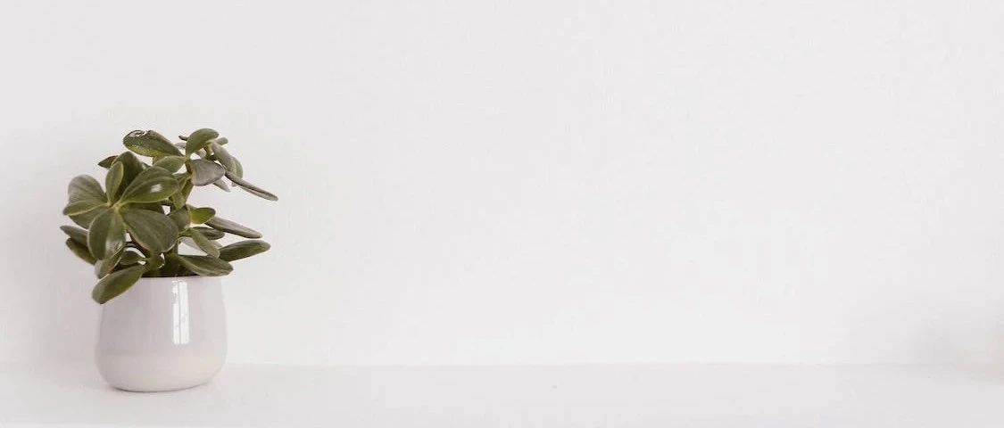 新品上架前，新手如何收集产品的关键词？