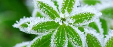 如何判断确定版权侵权的具体原因？