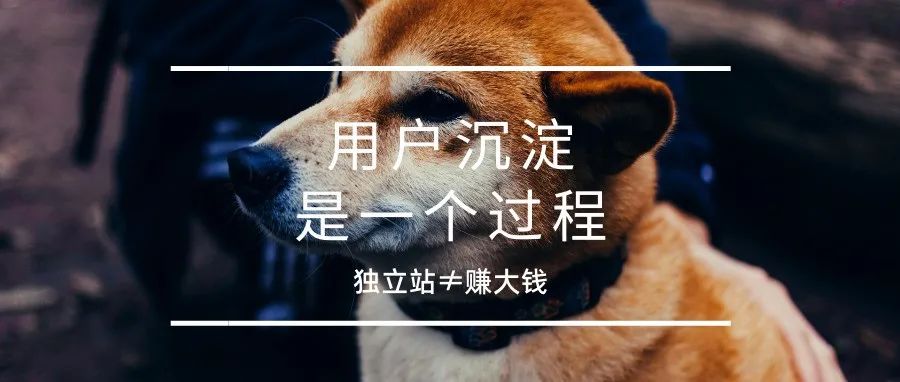 大部分中小卖家的真常态|案例分析