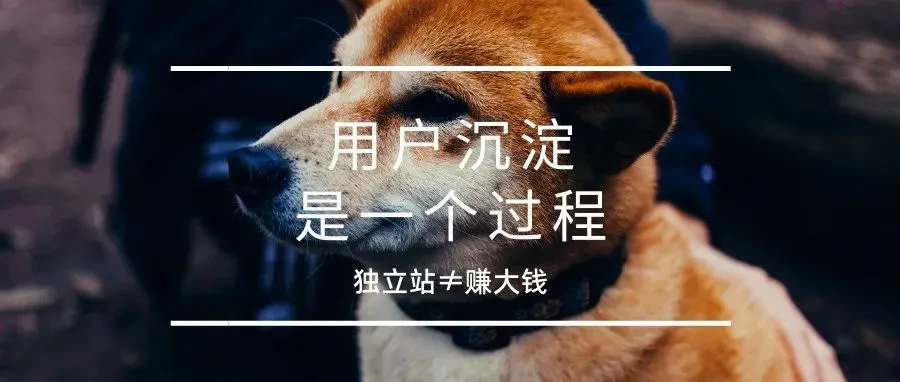 大部分中小卖家的真常态|案例分析