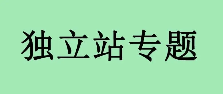 海外成人用品独立站推广，一学就会