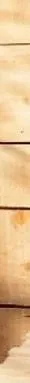 提醒：自动鸡笼门存在侵权风险，请注意排除下架