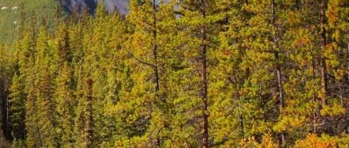 如何做好线上货代？