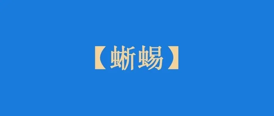开眼界，原来老外养蜥蜴这么认真！