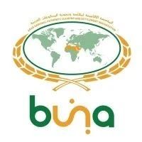 阿拉伯支付平台Buna推出即时支付服务