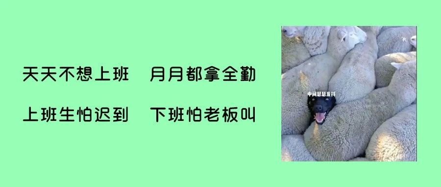 “注意！欧盟电商平台紧急响应DAC7申报新规，将立即向税务局上报卖家信息！”