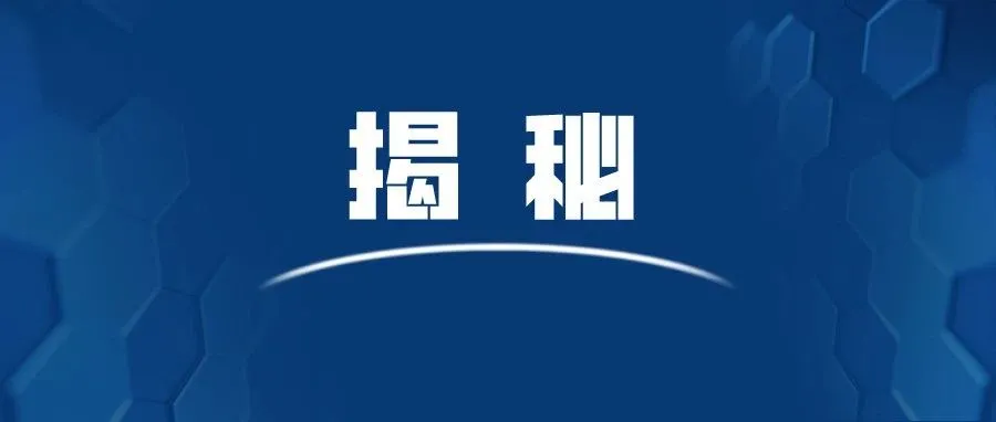 已上线美国！SHEIN正式推出平台模式SHEIN Marketplace