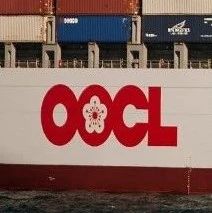 重磅！OOCL遭索赔超3000万美元！