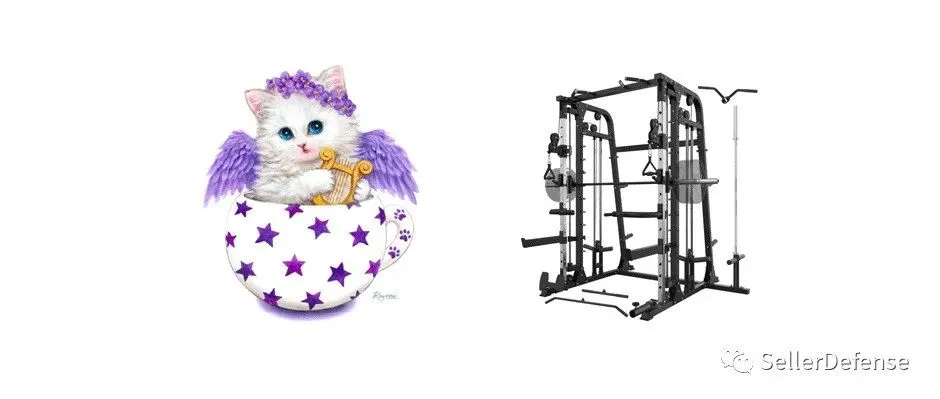 Keith律所代理艺术家 Kayomi Harai 连发两案！以及 Fitness Equipment 健身架 专利维权！
