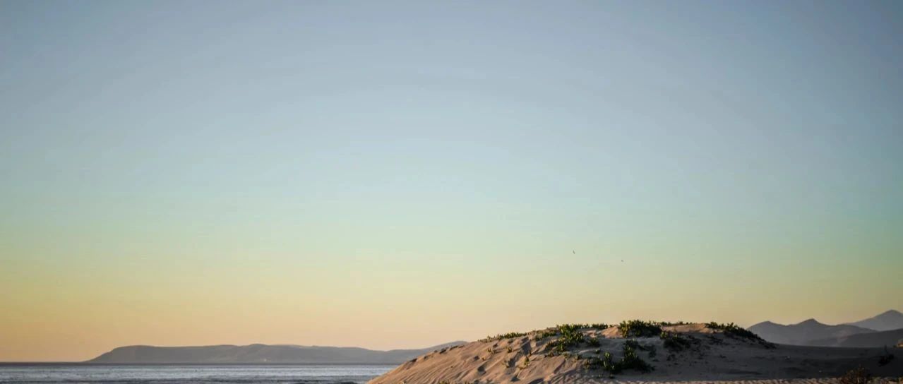 深耕跨境多年的“老运营”，教你如何有效分析亚马逊广告投放