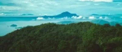 海量关键词“流量池”爆款打法，把握Prime Day流量财富