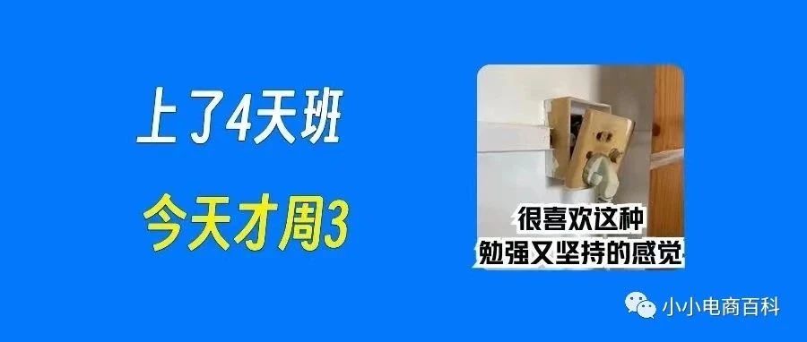 大促当前，TikTok带火成亚马逊和TEMU精选！电子产品上架美国站须办UL测试报告吗？