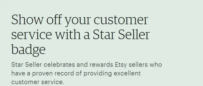 Etsy平台Star Seller全面解析