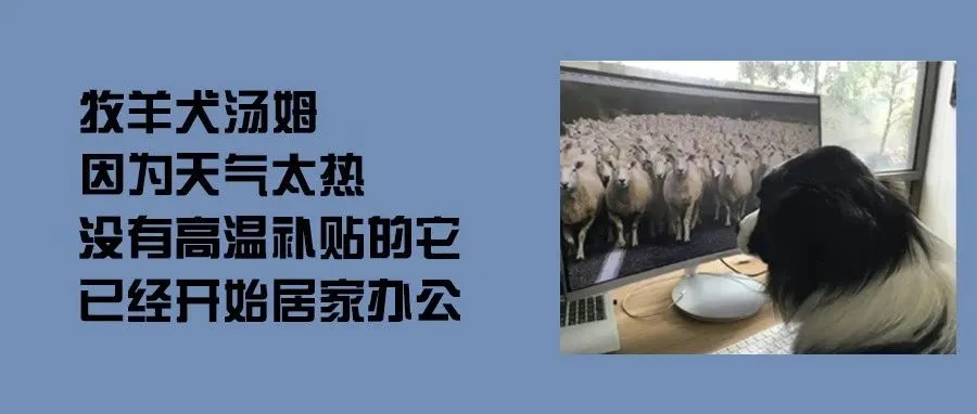 税号失效！卖家如何应对及自查？（建议收藏）