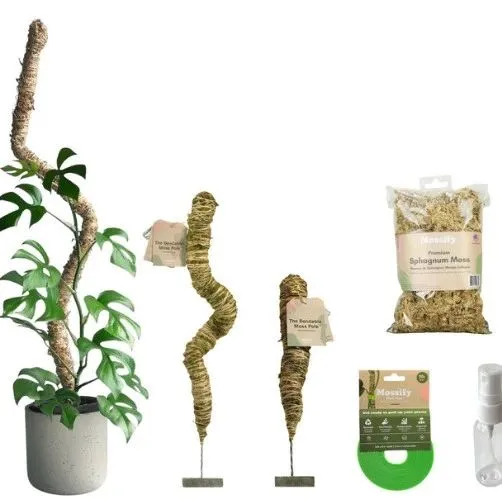 预警成功+1！苔藓杆植物支撑杆起诉维权！