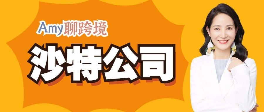 注册沙特公司后我可能需要缴纳这些税款！