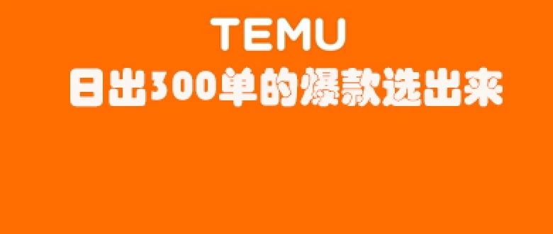 Temu日出300单的爆款，用亚马逊的选品方法选出来的！！！