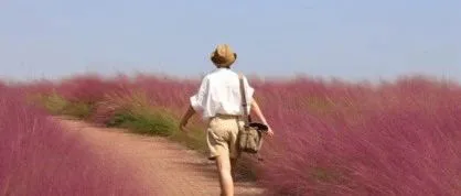 在亚马逊上FBA和FBM如何选？