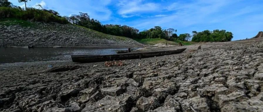 巴拿马运河大旱，物流严重延误，8月第三周物流怎么发？
