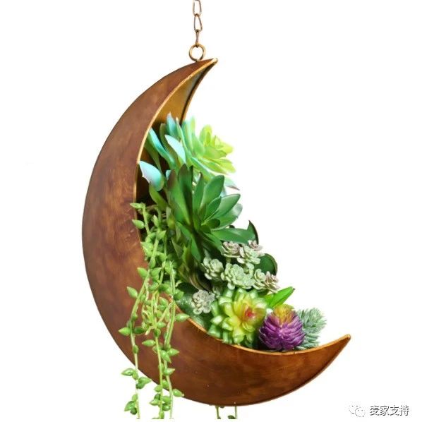 跨境侵权预警——悬挂式月亮形状花盆好看但侵权
