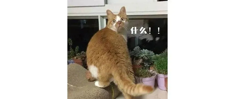 把握新机！亚马逊近期变化汇总分析，卖家如何调整