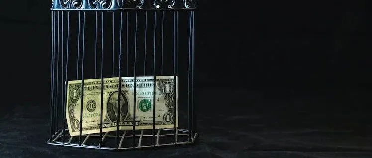 近2亿欠款还不上，封号余痛未消 ，跨境大卖“有棵树”难翻身？