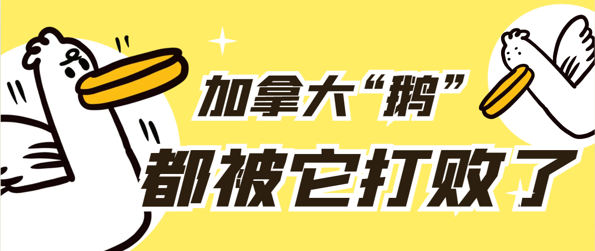 中国默默无闻的羽绒服品牌，正在通过亚马逊卖爆全球