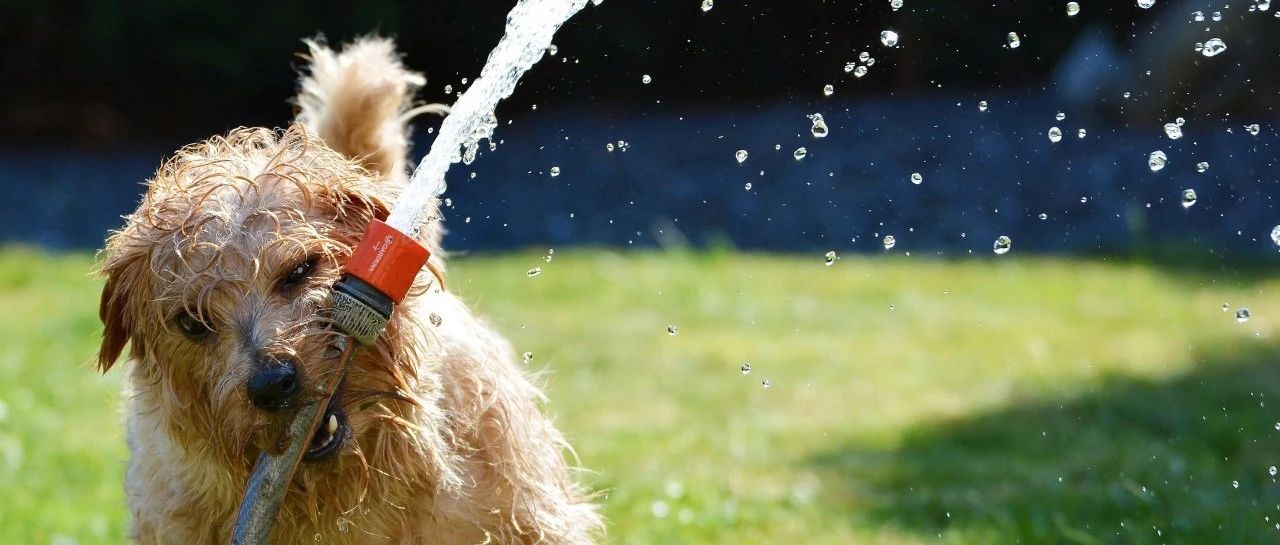 两天卖出290万！这一品类爆款频出，跨境卖家狂热布局！