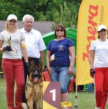 这2类卖家将迎来爆单？德国人、美国人竟花了65亿欧元和946亿美元