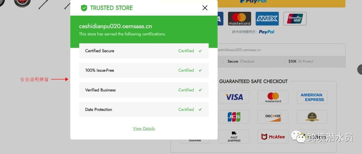 PayPal、Stripe收单|仿牌收单T1回款|不对版收单都是什么意思？