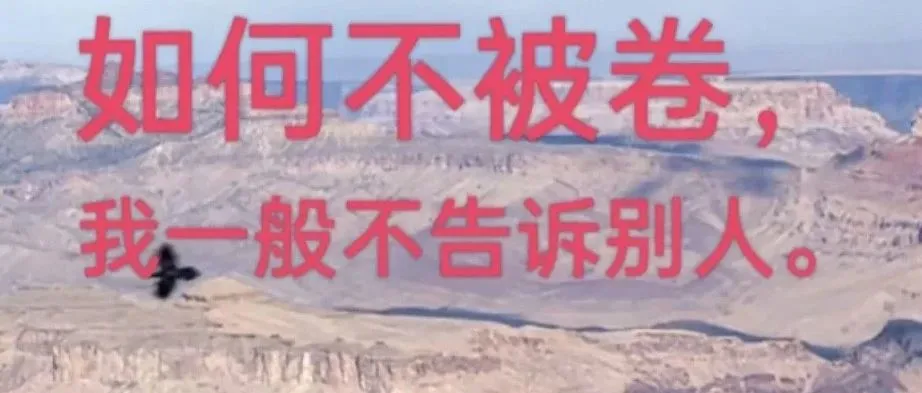 别再卷自己了，美国卖家原来是这样高价卖货的！
