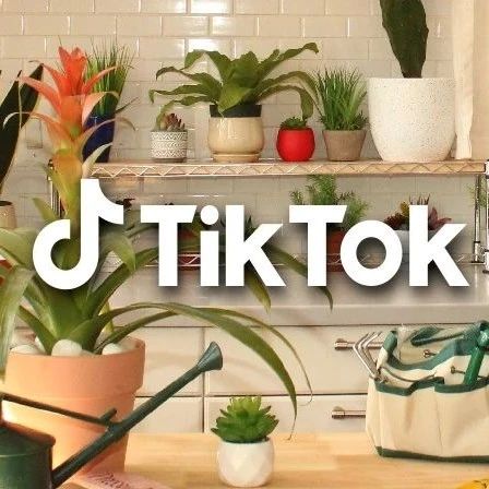 TikTok在美国正式推出电商业务“TikTok Shop”，已有20万商家入驻！