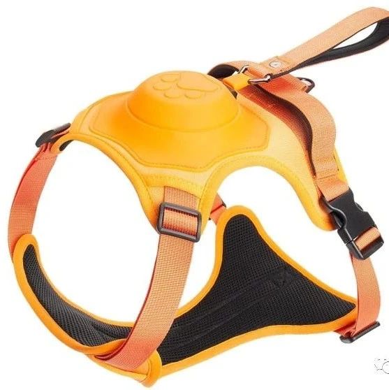 跨境侵权预警——宠物胸背带新下专利产品，危险