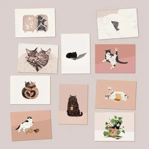 猫咪图案注意！又一家版权方起诉维权！