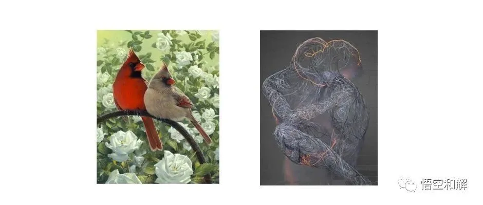 Keith再次带来新的版权画案件，野生动物和数字图片，用到这些的卖家朋友们注意了！！！
