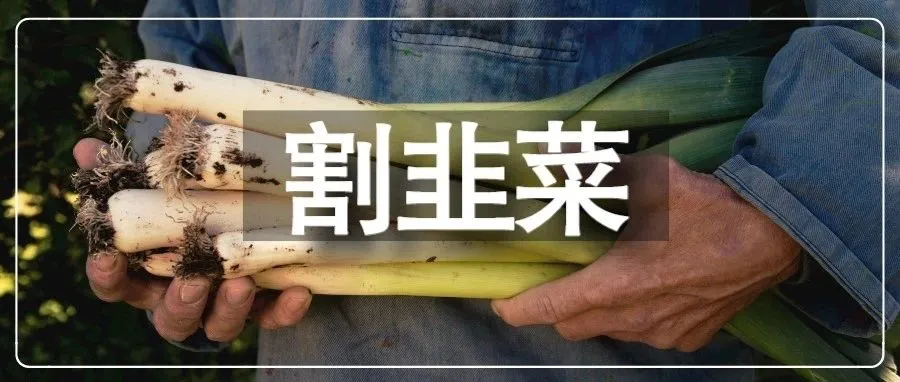 换马甲诈骗卖家？网传“货代卷款2000万跑路”后续来了