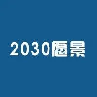 2030 年愿景中途，沙特阿拉伯似乎有望实现关键目标