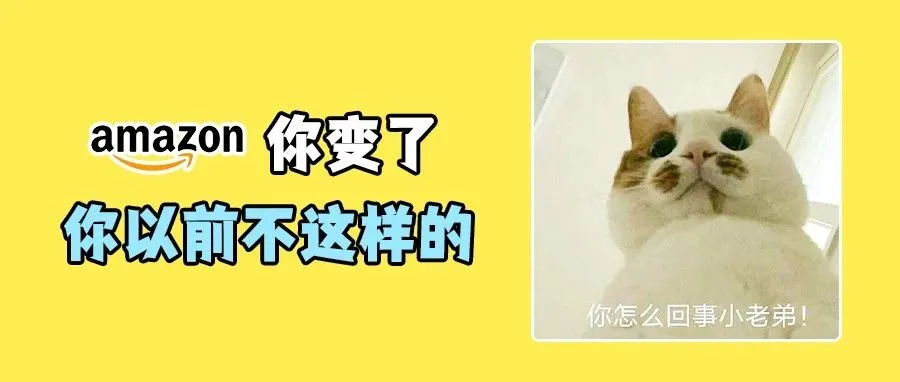 重磅消息！亚马逊将在2023年暂停全球扩张计划？