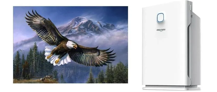 空气净化器首次维权！Keith继续代理新版权！