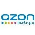 Ozon吸引中国跨境卖家；沃尔玛黑五期间每分钟成交订单数4倍增加