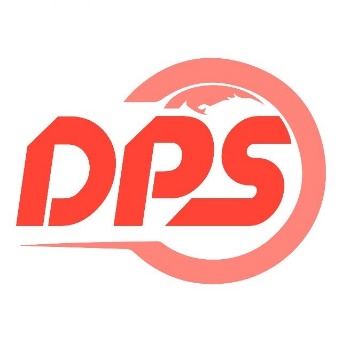达派思-dps